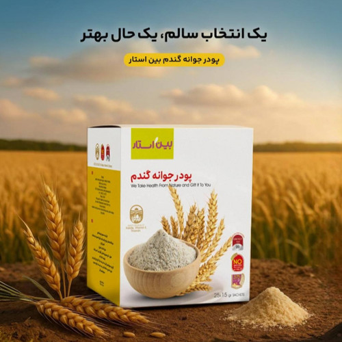 پودر جوانه گندم بین استار بیز