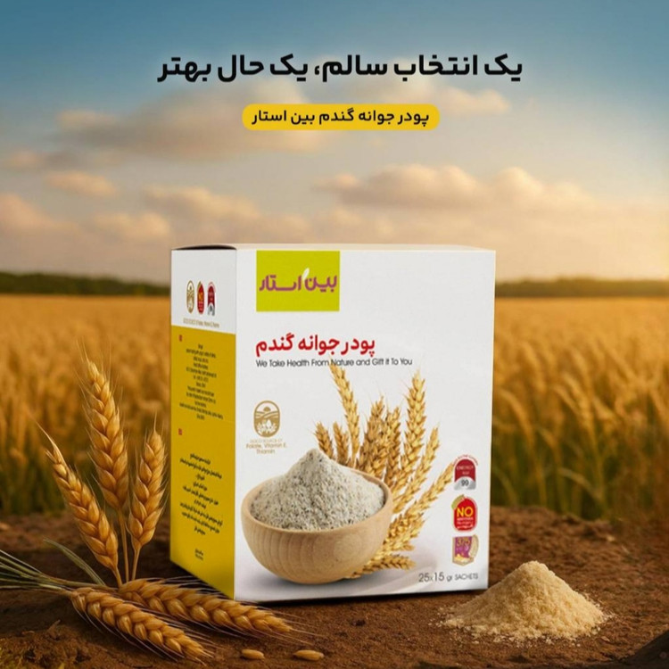 پودر جوانه گندم بین استار بیز