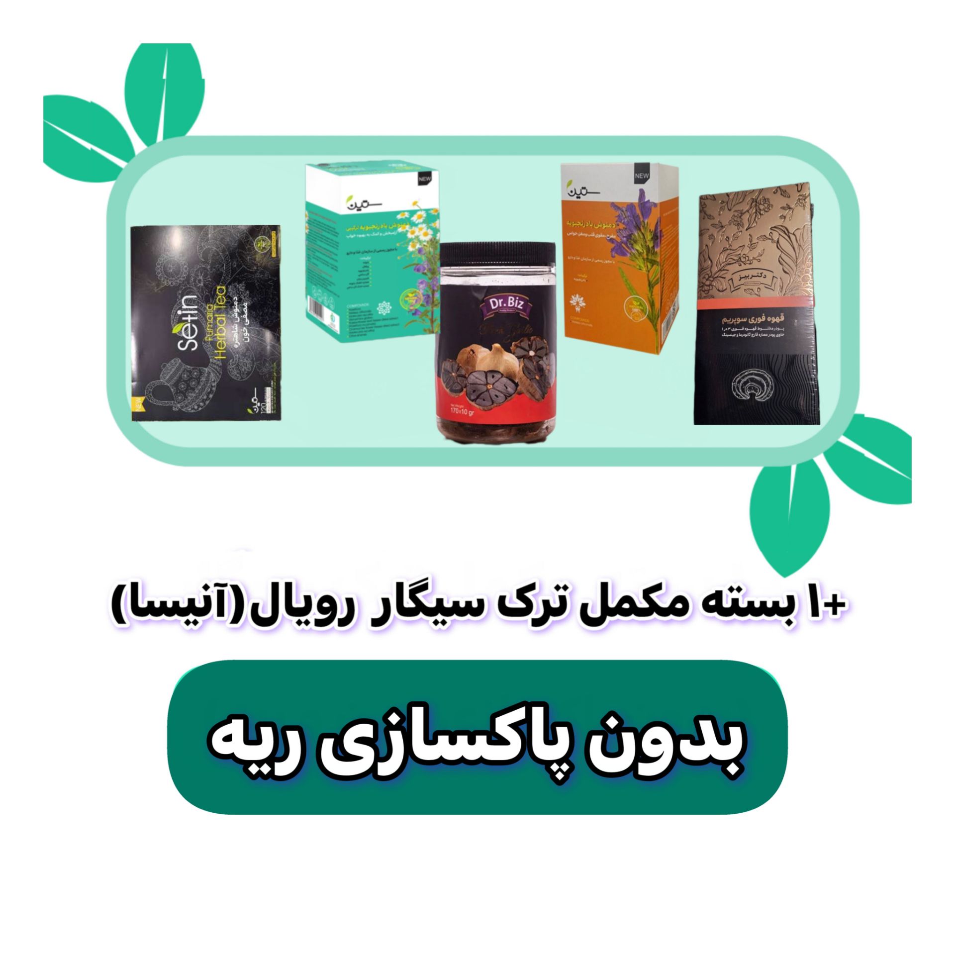 پکیج ترک سیگار گیاهی آنیسا بدون پاکسازی ریه