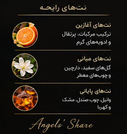 ادوپرفیوم ویتابلا ۳۵ میل رایحه آنجلز شیر | Angels’ Share